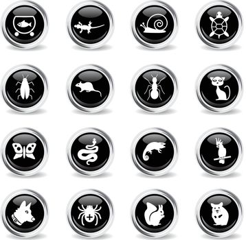 pets web icons - black round chrome buttons
