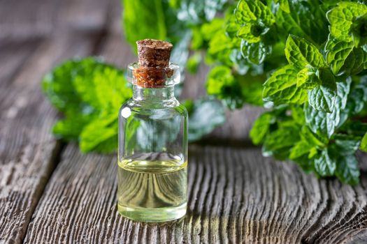 A bottle of peppermint essential oil with fresh peppermint leave