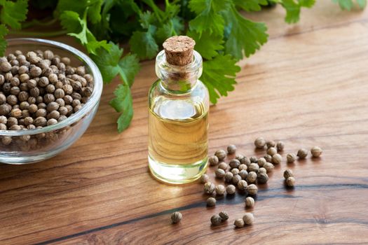 A transparent bottle of coriander essential oil with coriander s