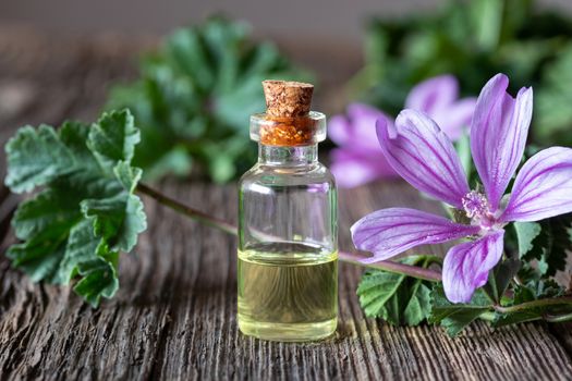 A bottle of mallow essential oil with fresh blooming malva sylve