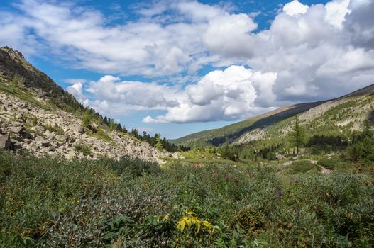 Mountain landscape in the summer in the Altai
