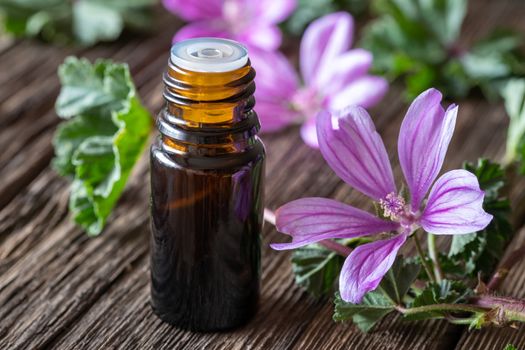 A bottle of common mallow essential oil with fresh malva sylvest