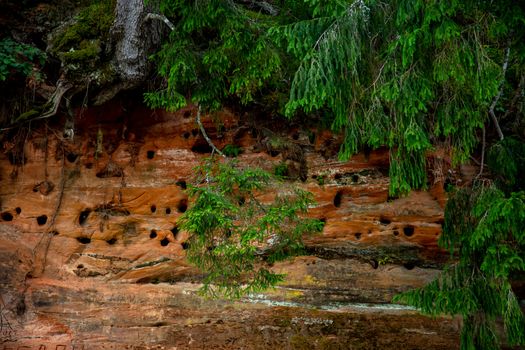 Red sandstone cliff and trees near the river.