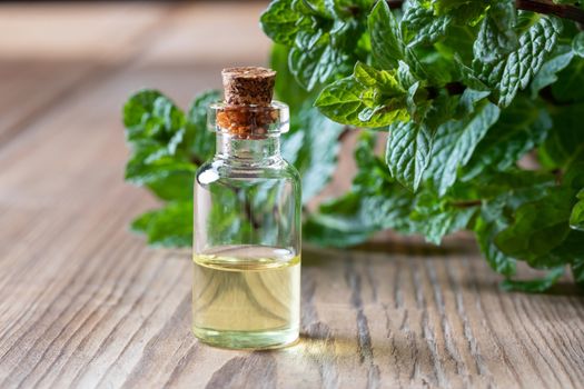 A bottle of peppermint essential oil with peppermint leaves