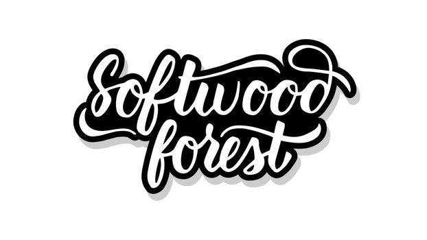 Softwood forest calligraphy template text for your design illustration concept. Handwritten lettering title vector words on white isolated background