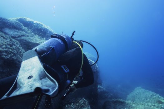 diver submerged in the blue sea near of the seabed