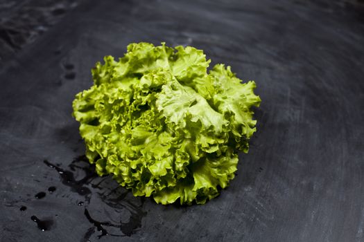 Green organic lettuce salad.