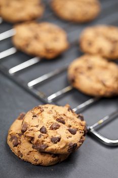 Baking grid with chokolate cookies.