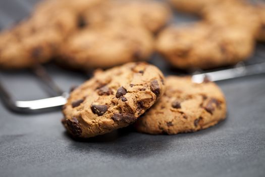 Baking grid with chokolate cookies.