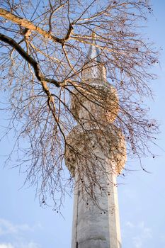 Minaret  view behind a leafless tree
