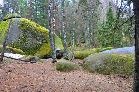 The nature reserve Stolby , stones processed by water and wind over the millennia to freakish forms. Krasnoyarsk, Siberia, Russia.