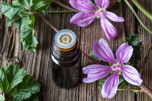 A bottle of common mallow essential oil with blooming malva sylv