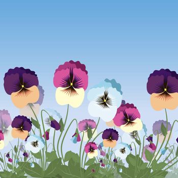 Vector floral colored pansy flowers and blue sky illustration