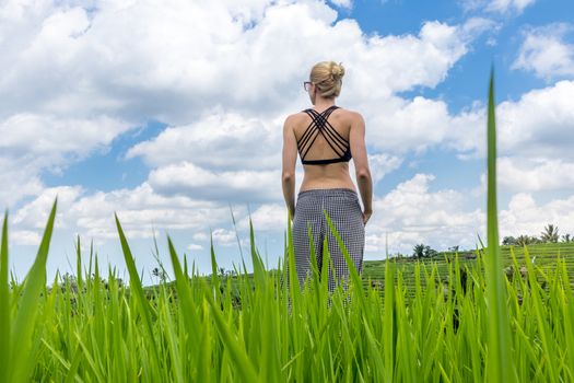 Relaxed healthy sporty woman, arms rised to the sky, enjoying pure nature at beautiful green rice fields on Bali.