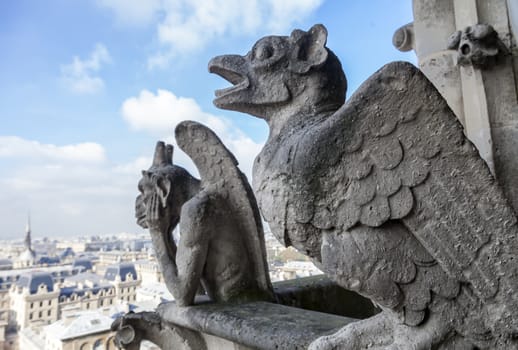 Chimeras on Notre Dame de Paris, France