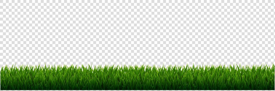 Green Grass Border Transparent Background With Gradient Mesh, Vector Illustration
