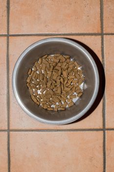 Bowl made of stainless steel with dog food