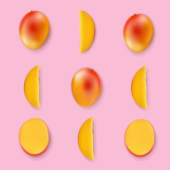 Mango Isolated Pink Background With Gradient Mesh, Vector Illustration