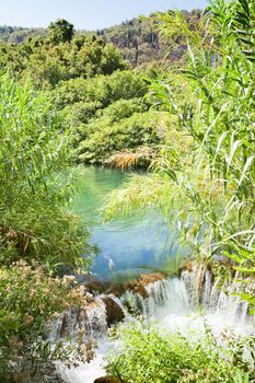 Krka, Sibenik, Croatia - Water reed at a small waterfall within 