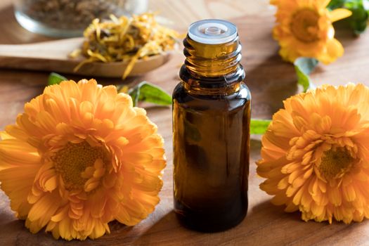 A bottle of calendula essential oil with calendula flowers