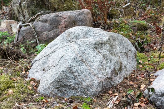 Single large boulder in the forest