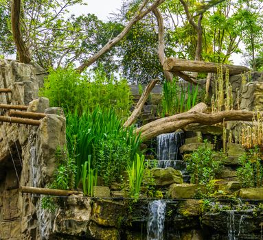 tropical looking waterfall with many plants, exotic garden architecture