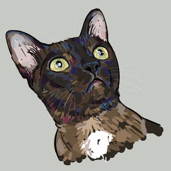 Drawing portrait of cat is staring up.