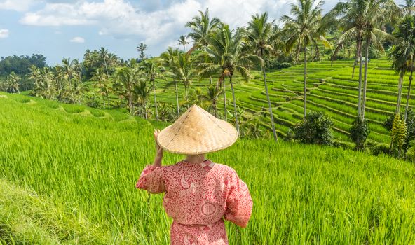 Relaxed fashionable caucasian woman wearing red asian style kimono and traditional asian paddy hat looking at beautiful green rice fields and terraces on Bali island