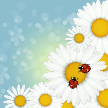illustration of ladybugs on daisies