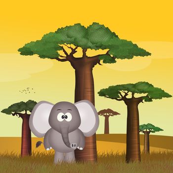 illustration of baobab and elephant