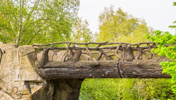 beautiful hand crafted wooden bridge made out of tree trunks and branches, fairytale scenery, garden architecture, nature background