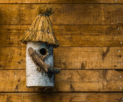 hand crafted bird house made out of a birch tree log, Bird home hanging on a wall of wooden planks
