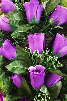 Background of bright purple tulips with green leaves