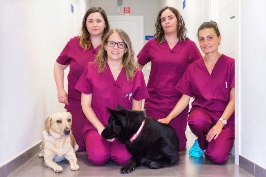 Cheerful woman veterinary team with her pets