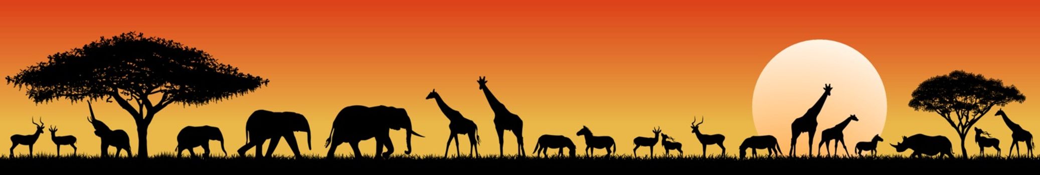 Silhouettes of wild animals of the African savannah. Set of different wild animals of Africa.