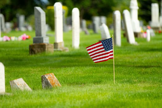 Flag waving in the cemetery