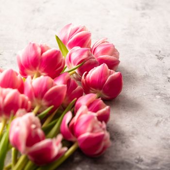 Pastel pink tulips on shabby chic background