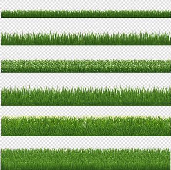 Green Grass Border And Transparent Background, Vector Illustration