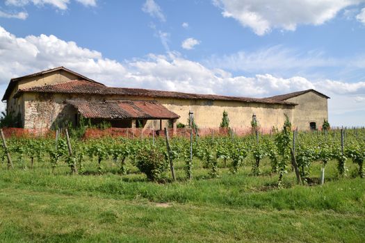 Ancient peasant house surrounded by its vineyard in Franciacorta