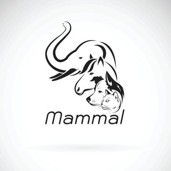 Vector of mammal group design on white background., Elephant, Ho