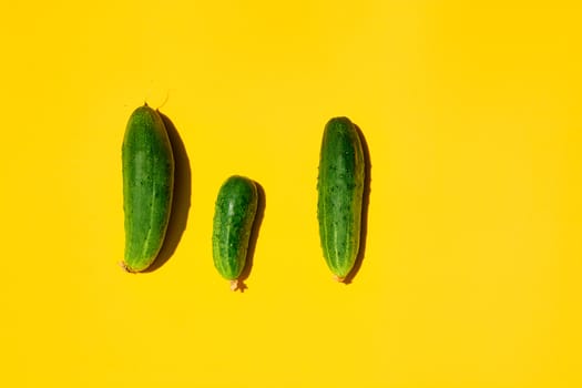 Concept Cucumbers Family on a yellow background. Dad mom baby. Copyspace for designers. Top view.