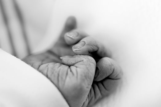 Newborn Babys Hand Close Up black and white.