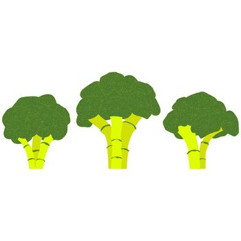 A set of three broccoli inflorescences isolated on a white backg
