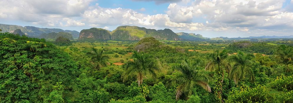 Panoramic view of Cuban green rain forest 