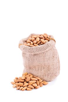 Small sack of fresh almonds