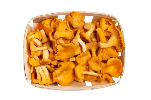 Group of edible forest chanterelle mushrooms in a wooden box of veneer isolated on white background, top view
