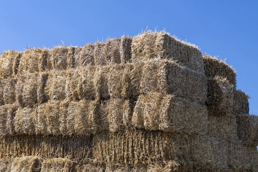 Stack of straw bales against a blue sky
