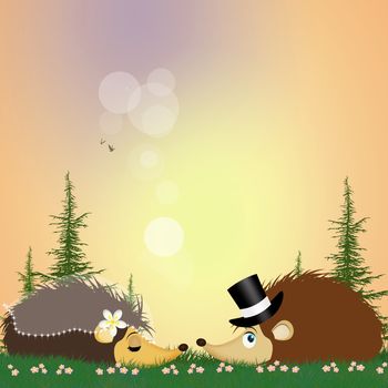 two hedgehogs getting married
