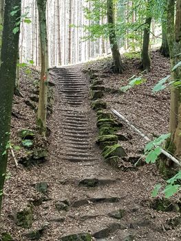 Stone stairs in the forest