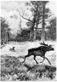 Serge and Jean did not neglect to hunt, vintage engraving.